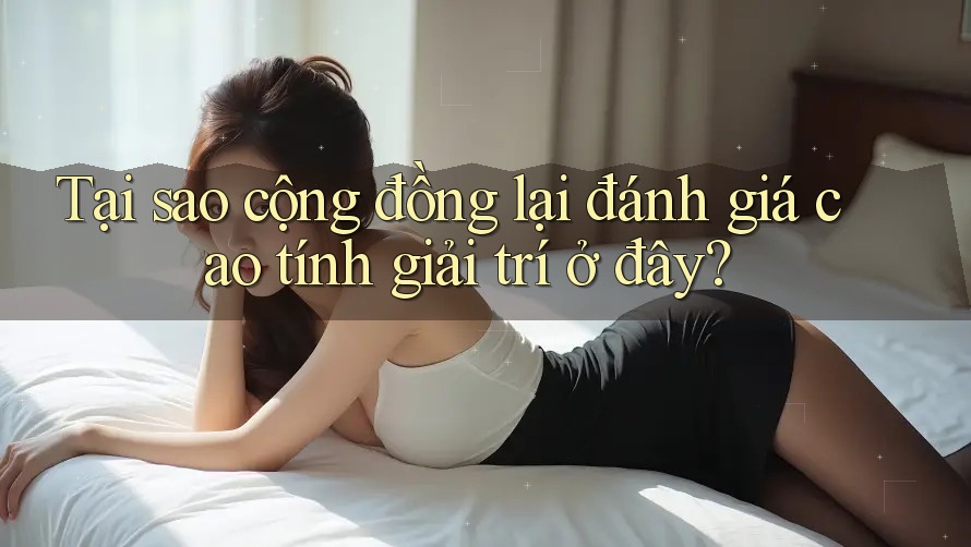 Tại sao cộng đồng lại đánh giá cao tính giải trí ở đây?